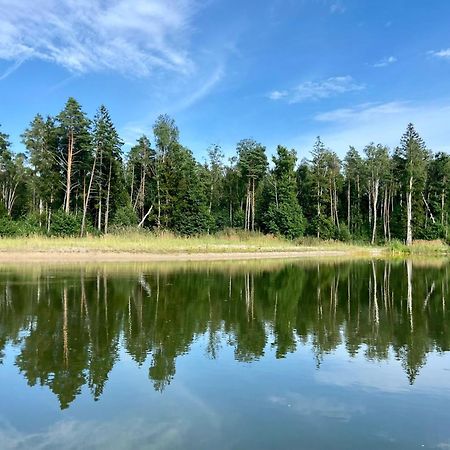 Willa Metsaraeaegu Wellness Ulendi Zewnętrze zdjęcie