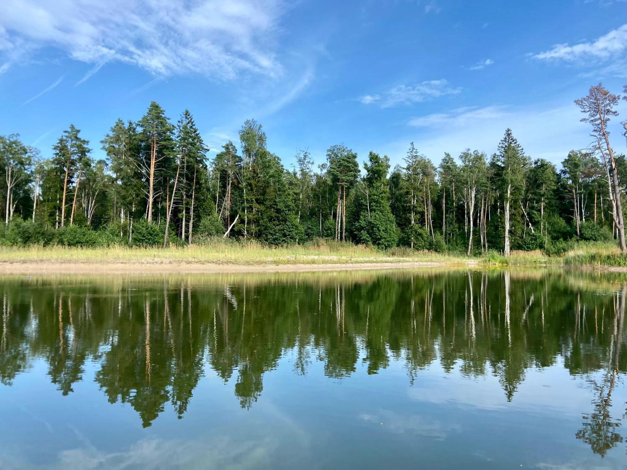 Willa Metsaraeaegu Wellness Ulendi Zewnętrze zdjęcie