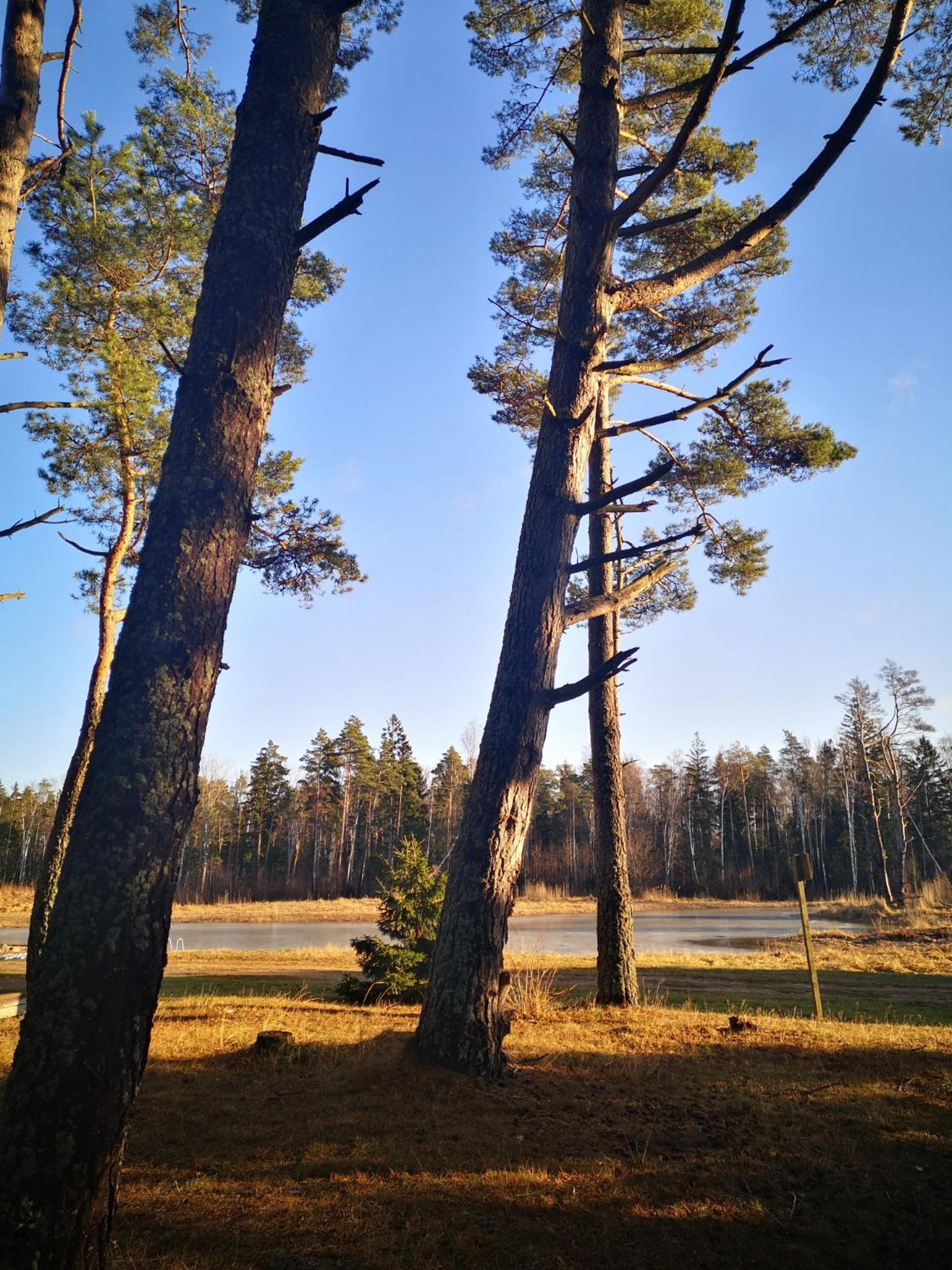 Willa Metsaraeaegu Wellness Ulendi Zewnętrze zdjęcie